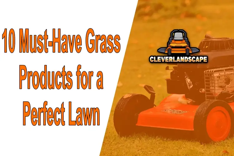 grass products, perfect lawn, must-have, lawn care, healthy lawn, eco-friendly, innovative solutions, transform, yard, achieve, lawn care routine